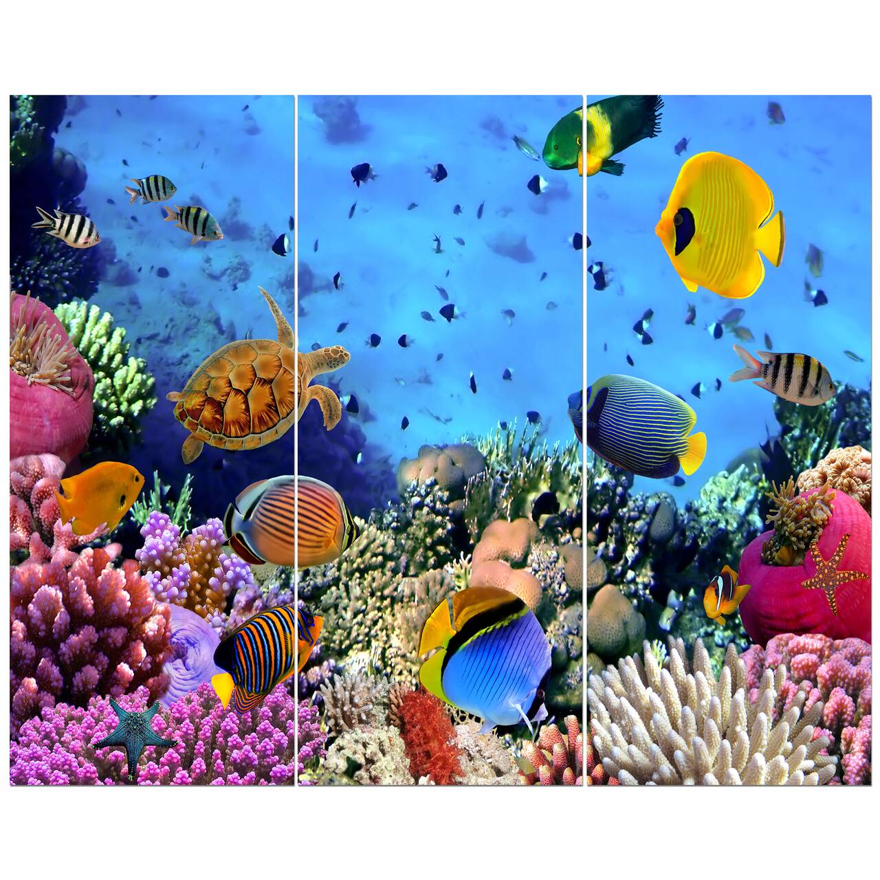 Designart - Coral Reef Coral Colony - Sea & Shore Nautical Photographic on Wrapped Canvas set